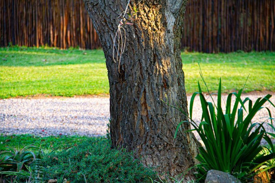 Kangelani Lodge Hillcrest Kültér fotó